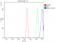 Anti-FEN1 Antibody Picoband™ (monoclonal, 7D11D7)